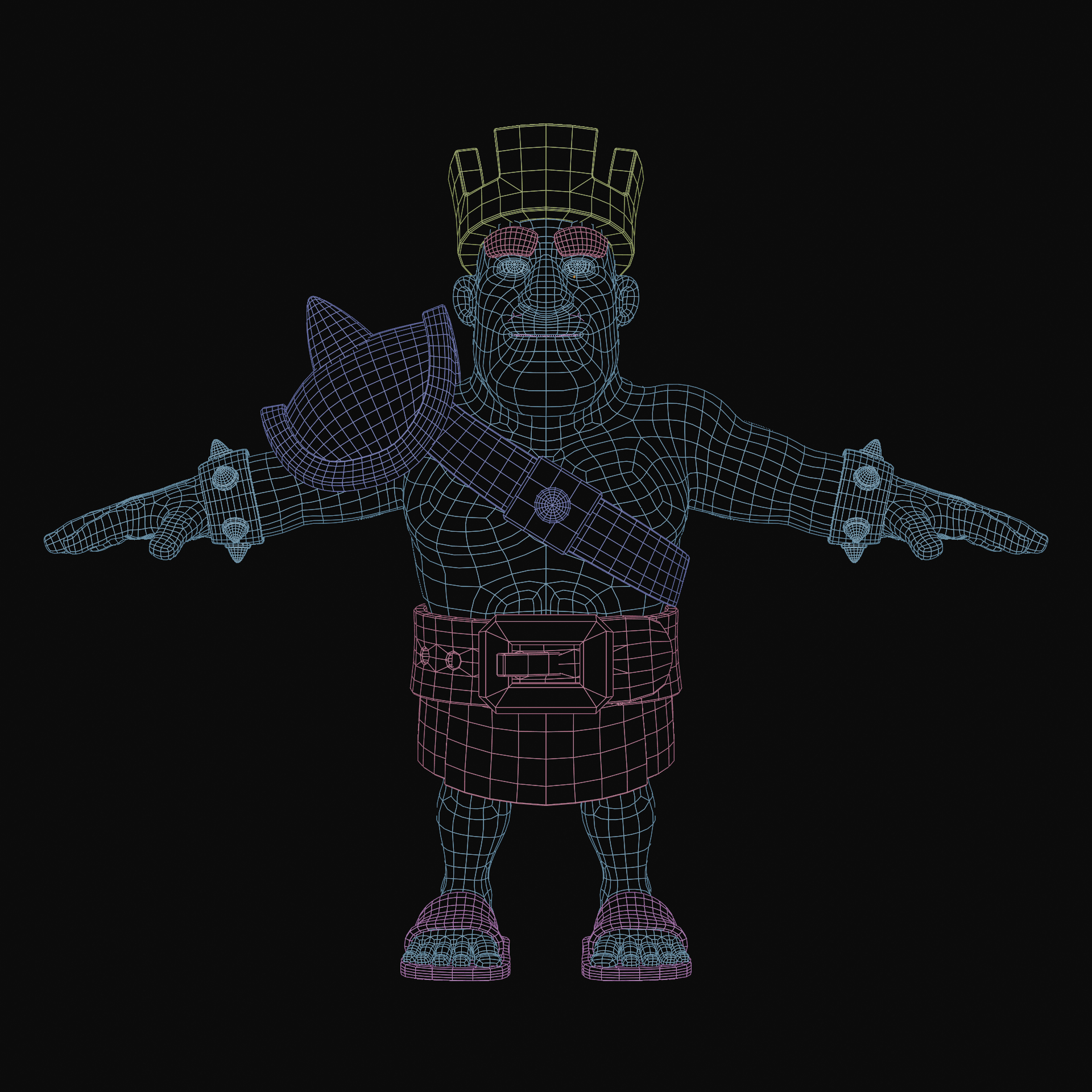 A view of the 3D model topology 1